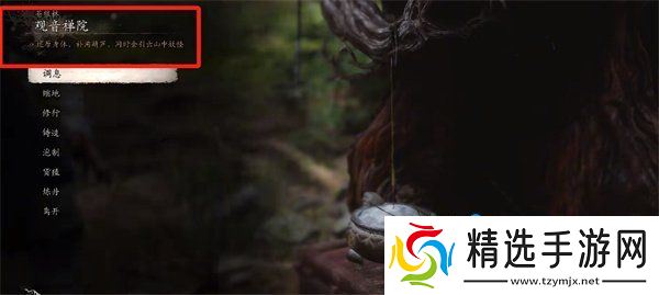 《黑神话悟空》灵虚子位置介绍