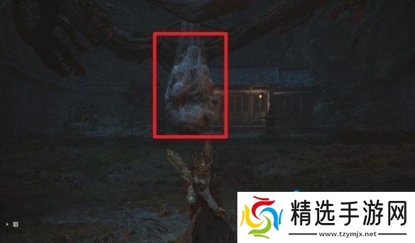 《黑神话悟空》下毒手‌获得方法