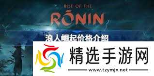 浪人崛起黑猫成就怎么解锁