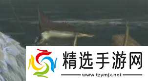 怪物猎人荒野大王旗鱼的鳍怎么获取