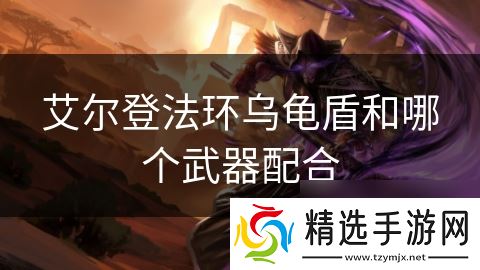 艾尔登法环乌龟盾和哪个武器配合