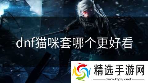 dnf猫咪套哪个更好看