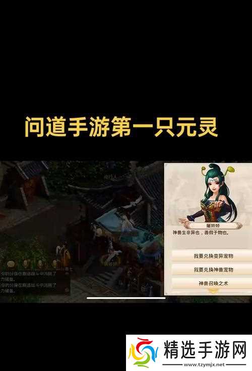 问道手游中如何打开NPC进行互动?