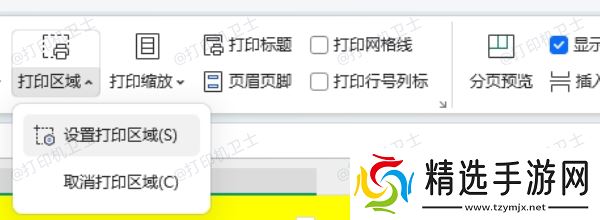 检查打印区域设置