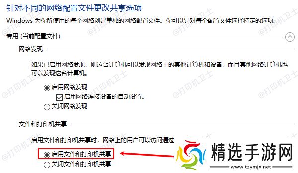 启用文件和打印机共享