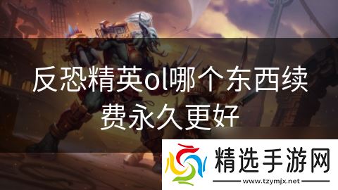 反恐精英ol哪个东西续费永久更好