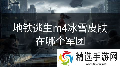 地铁逃生m4冰雪皮肤在哪个军团