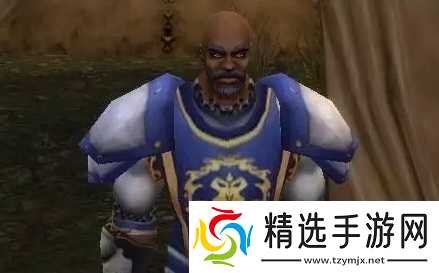 魔兽世界wlk冰风岗任务怎么完成-圣骑士职业任务冰风岗通关流程