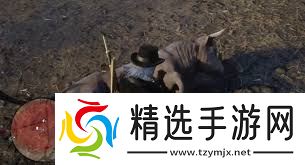荒野大镖客2阉牛在哪抓？阉牛位置及狩猎方法全解析