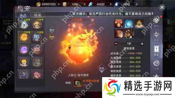 新神魔大陆如何培养自己的战宠