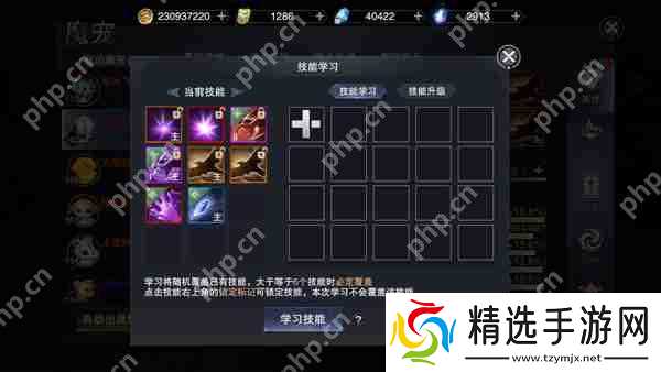 新神魔大陆如何培养自己的战宠