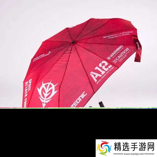 暴雨倾盆之时有人打伞 还有人打开了高达盾牌……