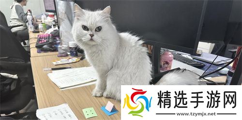 【游·见】专访喵吉托工作室:在 “传统养宠束缚” 与 “AI 社交新潮” 的碰撞中,以创新解锁宠物社交游戏新魅力