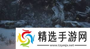 黑神话悟空翠笠武师位置大，核心要点全掌握