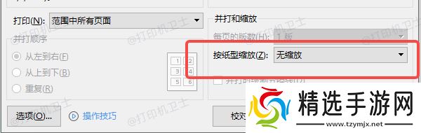 关闭“缩放以适应纸张”或相关缩放选项