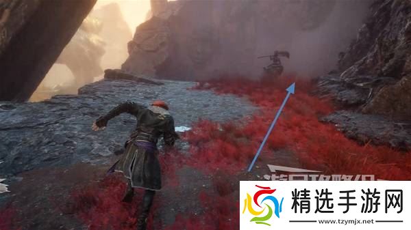 《光与影33号远征队》云纹刺获取方法 云纹刺怎么获得