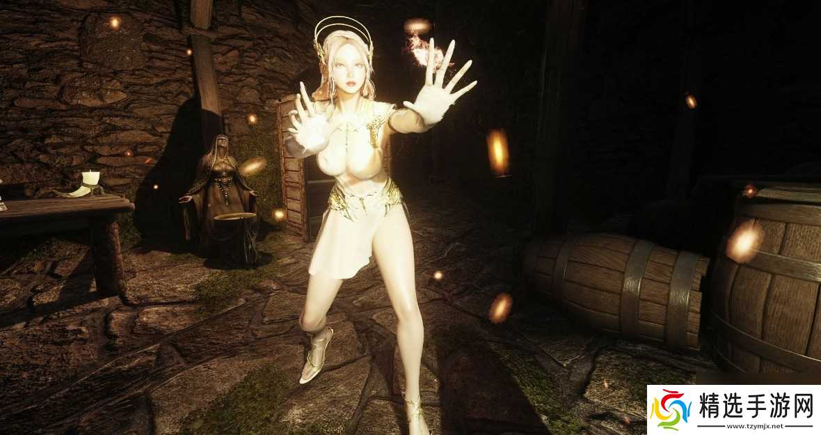 上古卷轴5**介绍一览