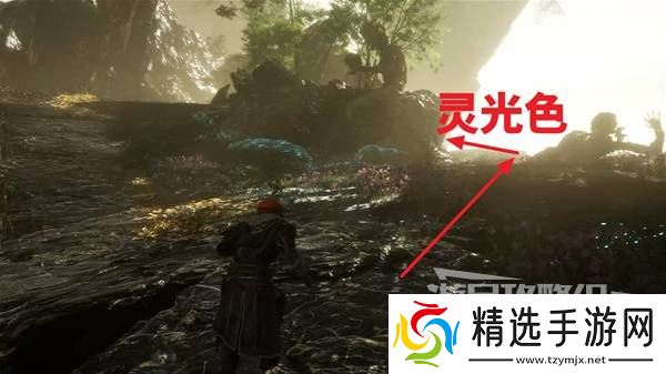 《光与影33号远征队》振奋清除获取方法 振奋清除怎么获得