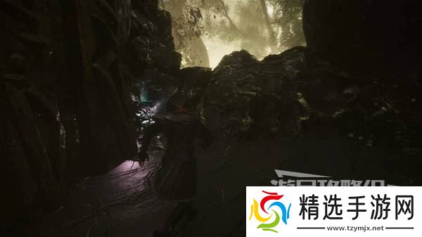 《光与影33号远征队》石杖获取方法 石杖怎么获得