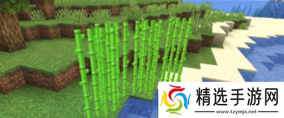 《我的世界》发酵蜘蛛眼做法介绍