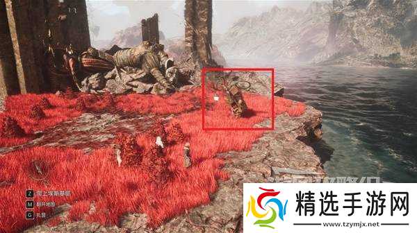 《光与影33号远征队》面刺获取方法 面刺怎么获得