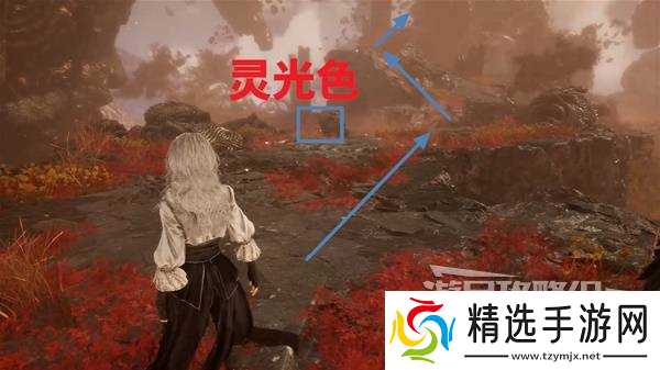 《光与影33号远征队》面刺获取方法 面刺怎么获得