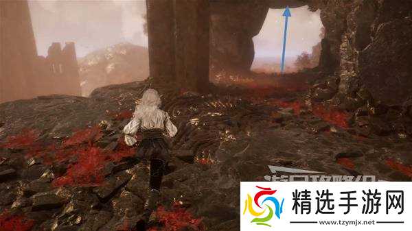 《光与影33号远征队》面刺获取方法 面刺怎么获得