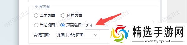 在PDF文件中设置打印页数的方法