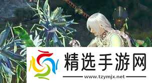 怪物猎人荒野一夜花的月华粉怎么速刷