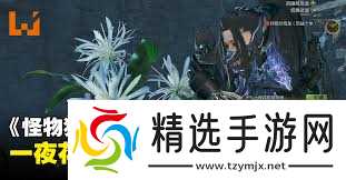 怪物猎人荒野一夜花的月华粉怎么速刷