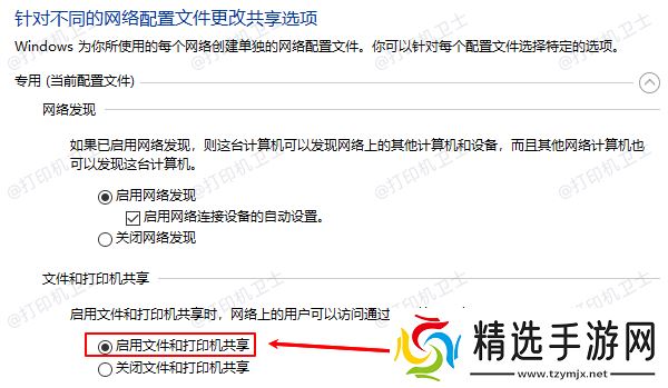 启用文件和打印机共享