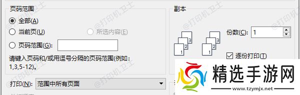检查打印选项是否启用了页码区域