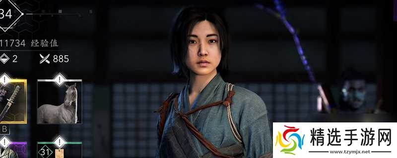 《刺客信条：影》绝对保险成就完全攻略分享