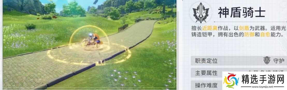 《星痕共鸣》防护流玩法介绍