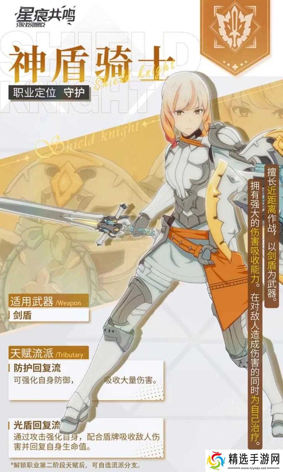 《星痕共鸣》防护流玩法介绍