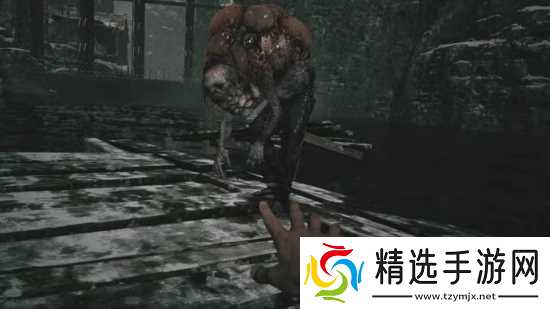 假设伊森未被感染：《生化危**》是否会更加好玩？