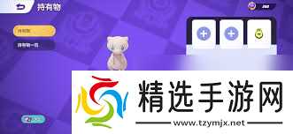 宝可梦大集结持有物自选盒道具使用方法