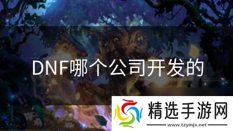 DNF哪个公司开发的