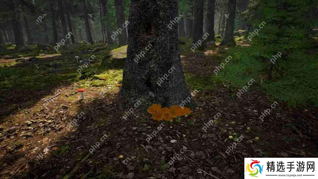 采蘑菇模拟游戏《蘑菇猎人模拟器》上架Steam Q3发售