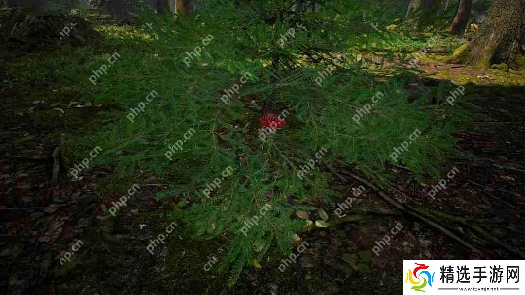 采蘑菇模拟游戏《蘑菇猎人模拟器》上架Steam Q3发售