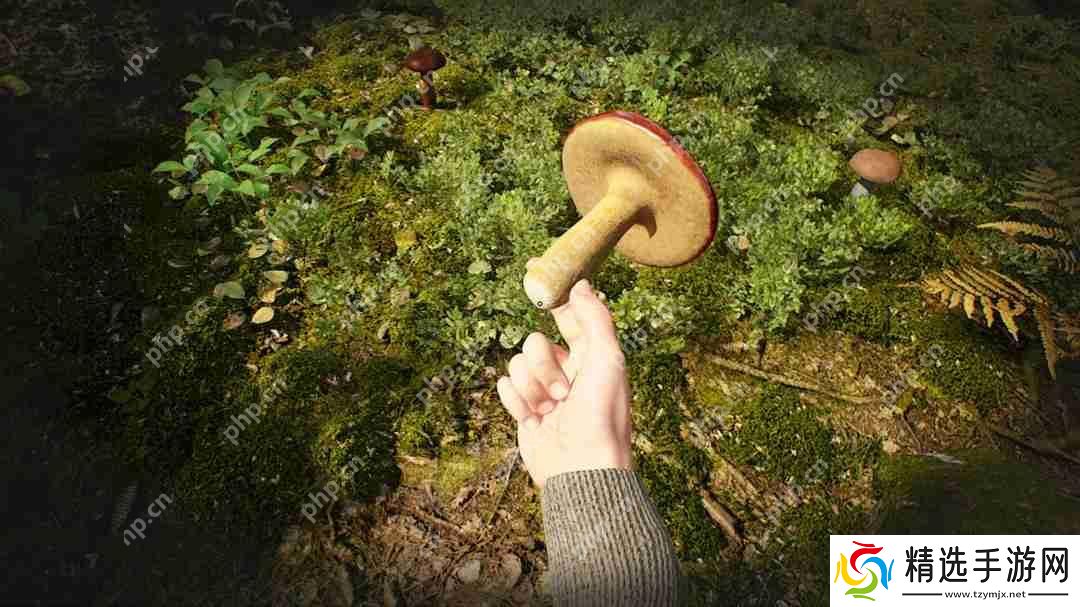 采蘑菇模拟游戏《蘑菇猎人模拟器》上架Steam Q3发售