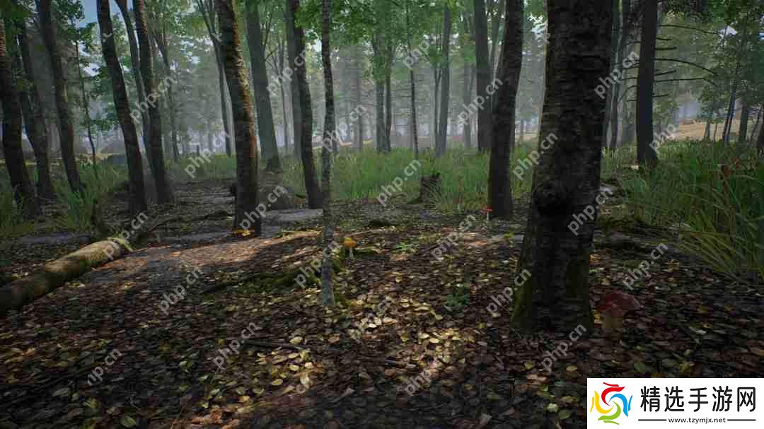 采蘑菇模拟游戏《蘑菇猎人模拟器》上架Steam Q3发售