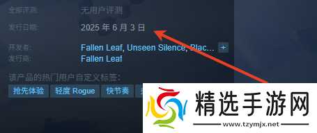 《超极战猫》游戏发售时间介绍