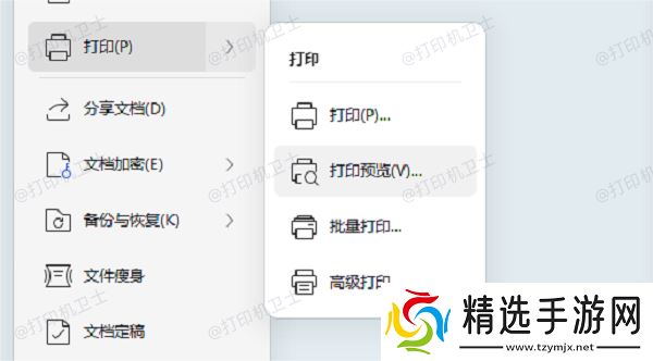 检查打印设置和驱动状态