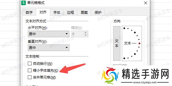 检查并取消“缩小字体填充”功能
