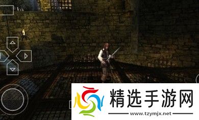 有一款很老的海盗单机游戏2d叫什么2025 2d海盗单机游戏介绍