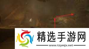 光与影33号远征队玛埃尔织人刺怎么获取