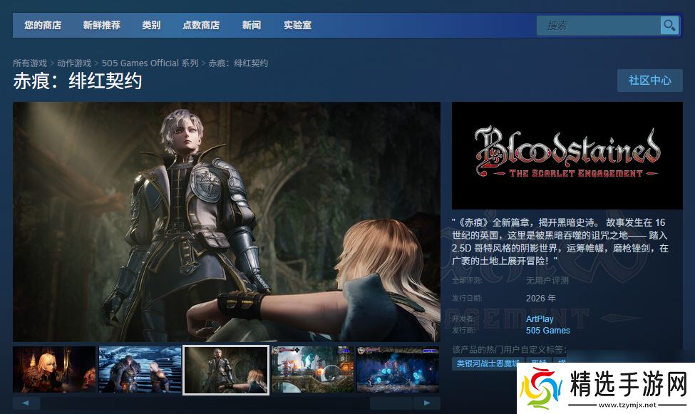 《赤痕：绯红契约》游戏游玩平台介绍