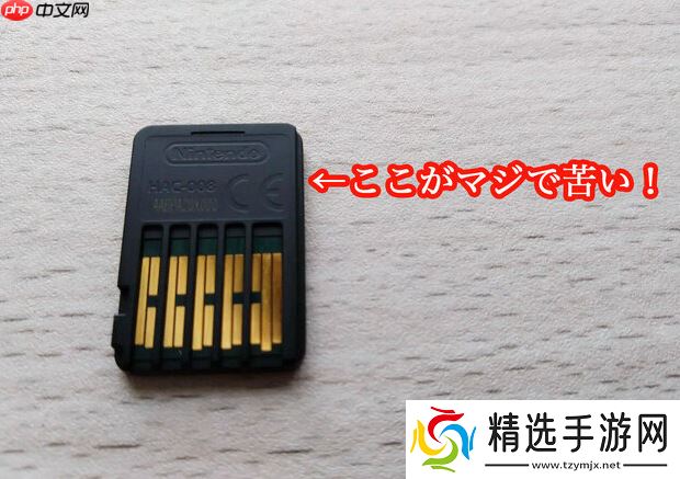 玩家实测Switch 2的卡带到底有多苦 想要习惯至少舔一周