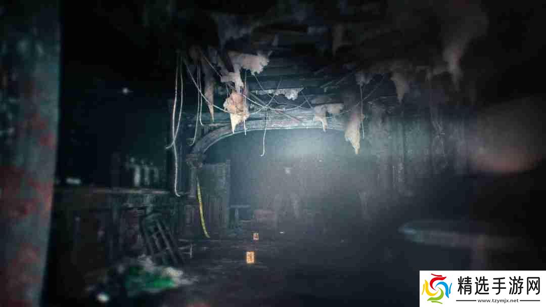 《生化危机9》主角将是里昂和格蕾丝·阿什克罗夫特